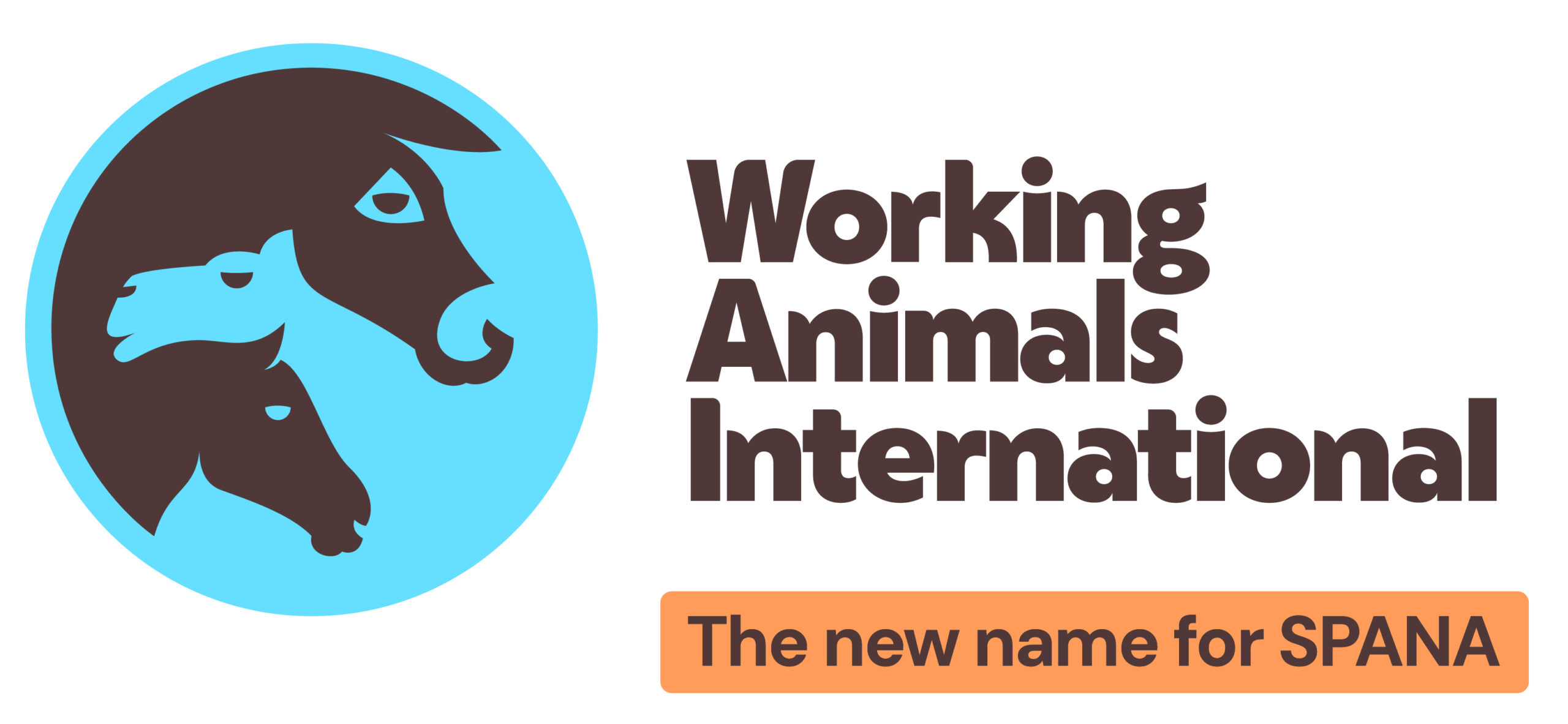 WAI logo